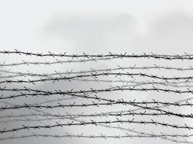 barbed wire